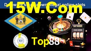 Programa VIP Top88